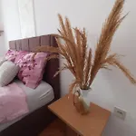 Maja